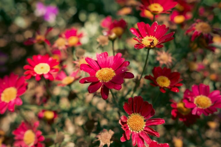 How To Do Local Seo For Garden Centers: A Practical Guide
