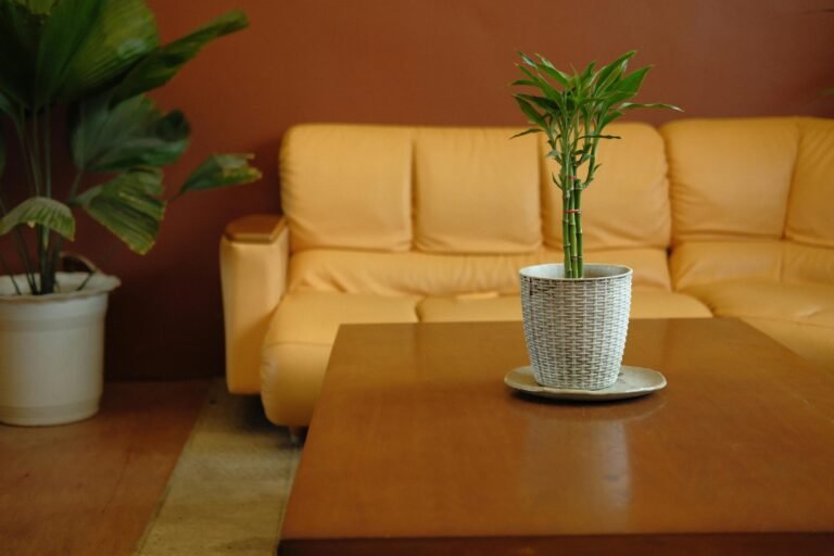 How To Do Local Seo For Home Staging Companies: A Practical Guide