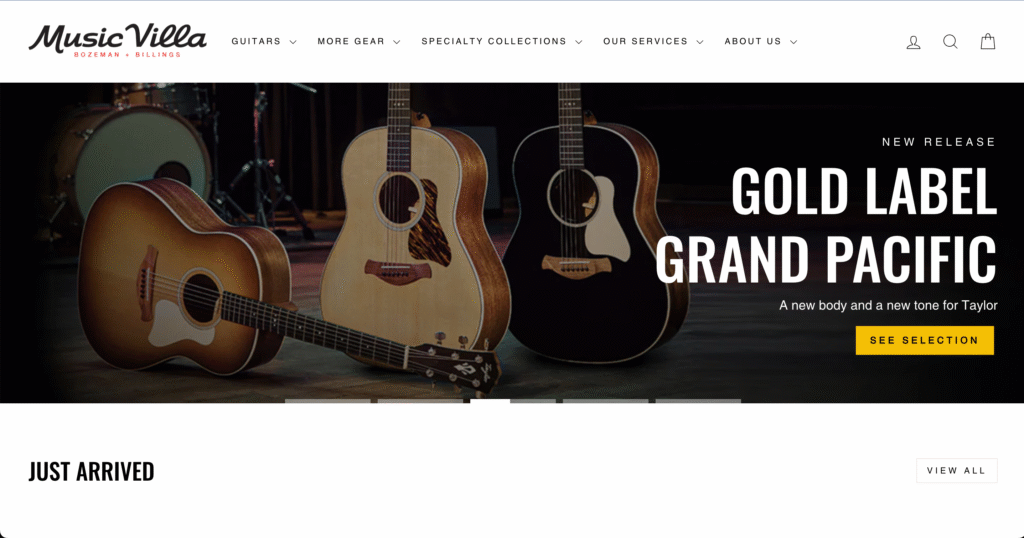 Web design agency in {location} case study 2