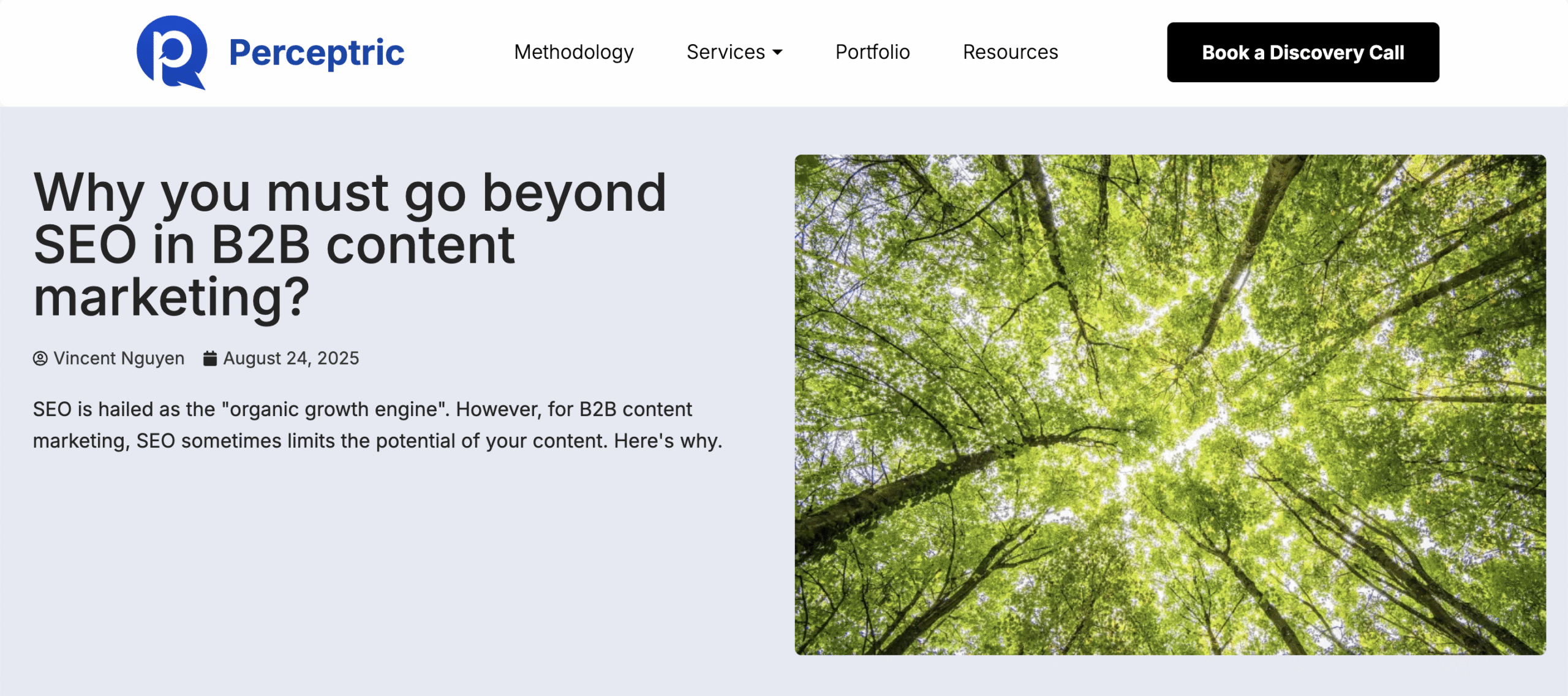 Examples of Perceptric doing thought leadership content marketing