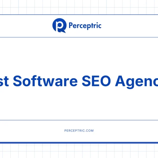 9 Best Software SEO Agencies With Proven Track Record